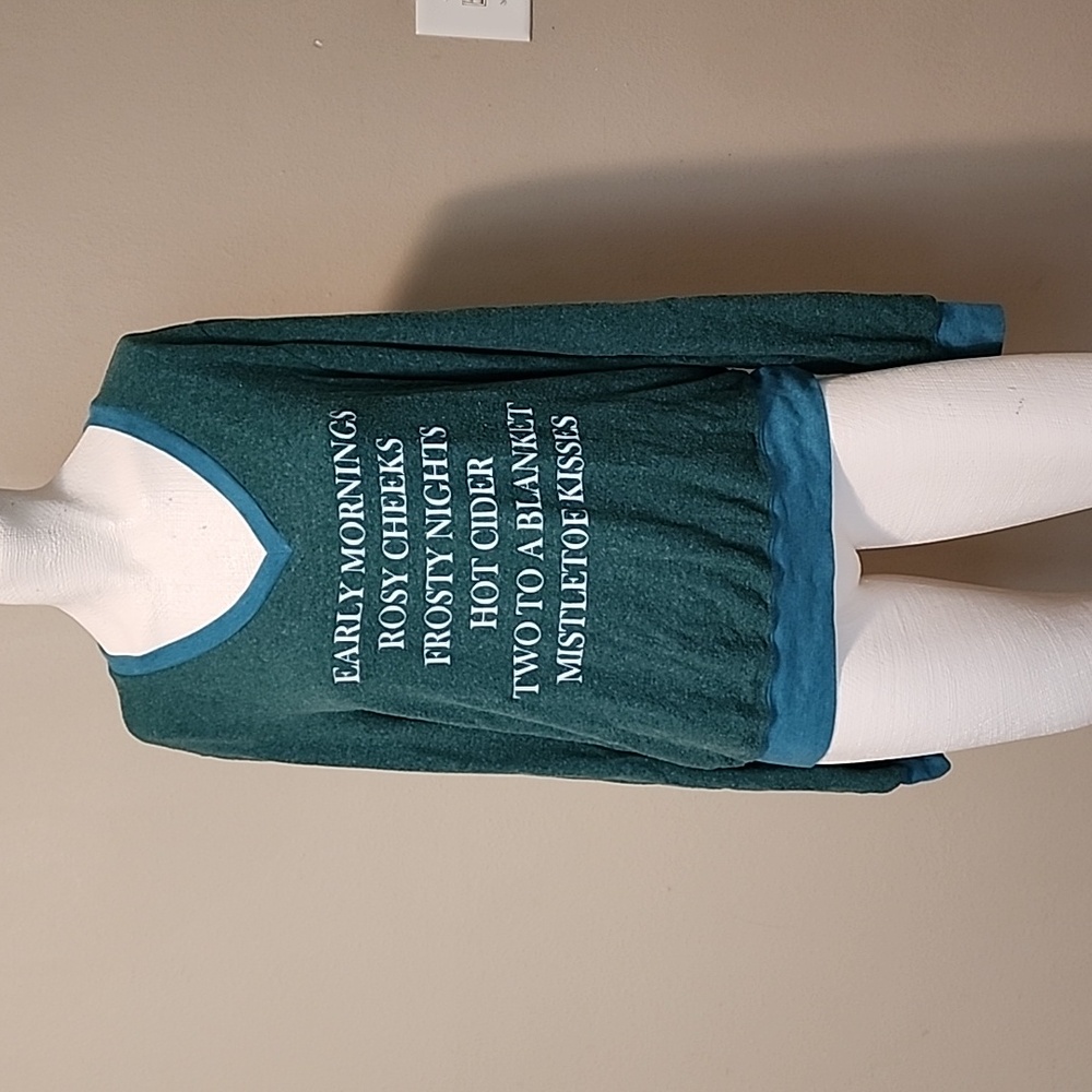 🔴 Wildfox Holiday Winter V Neck Sweater EUC